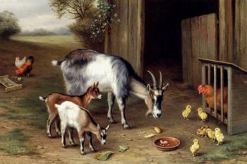 Edgar Hunt : Goats And Poultry